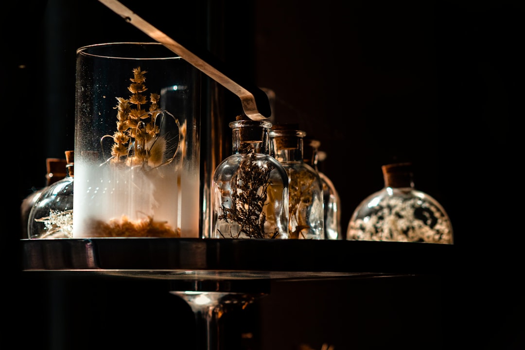 Elevate Your Space: Affordable Home Decor Products That Wow